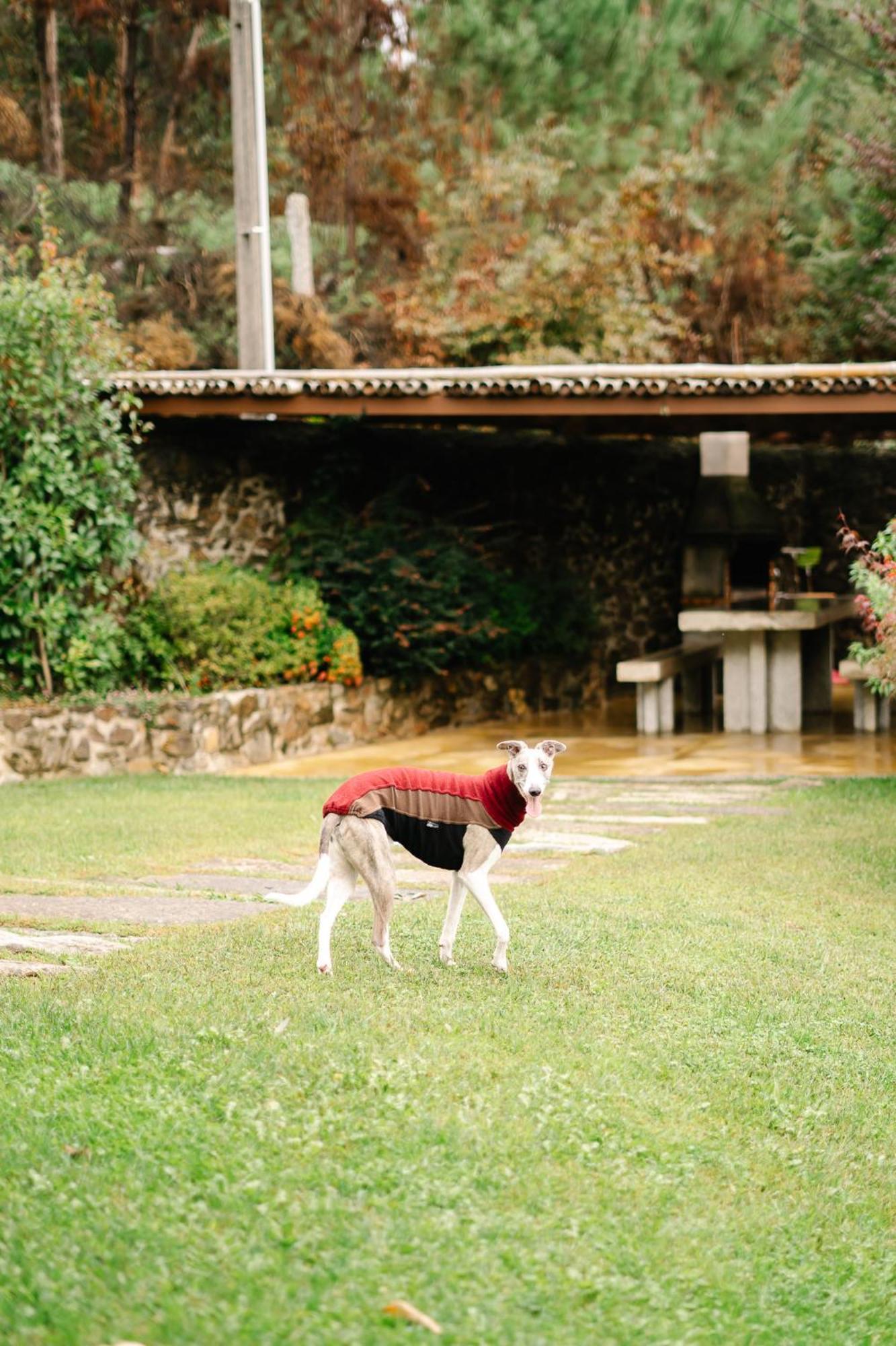 Casa Da Assudra Villa Vila Verde  Exterior photo